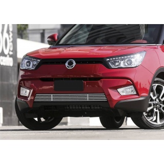 Решетка радиатора нижняя d10мм Ssang Yong Tivoli (Ссанг Йонг Тиволи)