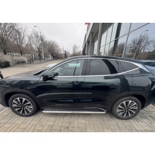 Пороги площадкой из нержавеющей стали, d53 мм Jetour Dashing