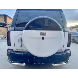 Защита заднего бампера 