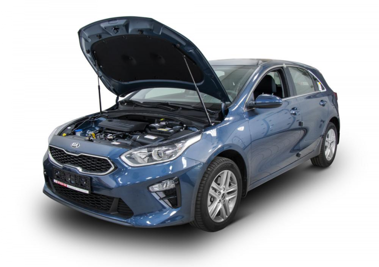 Упоры капота KIA Ceed III с 2018 года 2400 руб. Лучший